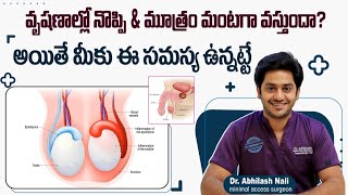 వృషణాల్లో నొప్పి \u0026 మూత్రంలో మంట || Epididymitis Symptoms and Treatment in Telugu || Dr Abhilash Nali