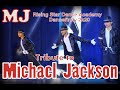 Tribute to Michael Jackson | Rising Stars | Dance | Dangerous | Smooth Criminal | Bollywood Songs