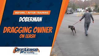 Doberman Dragging Owner On Leash! Before/After Video! Best Dog Trainers, Northern Va