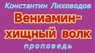 Вениамин - хищный волк (Константин Лиховодов, проповедь).