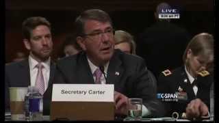 Ernst Highlights Need to Directly Assist Kurdish Peshmerga in Fight Against ISIS at SASC Hearing