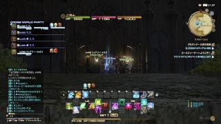 FF１４！学者になったばかりの人がハウケタ家を初見攻略！Sora視点（学者）