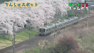 【でんしゃスポット】JR東北本線 一目千本桜 EH500形電気機関車 普通電車