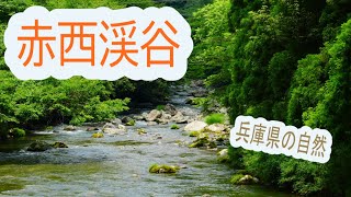 赤西渓谷　兵庫県　宍粟市　Akanishi valley