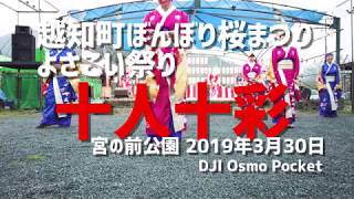 越知町ぼんぼり桜まつり 十人十彩 2019年3月30日 DJI Osmo Pocket