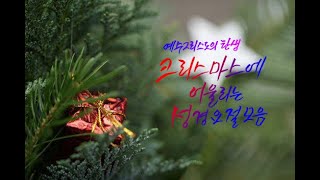 크리스마스(성탄절)에 어울리는 성경구절(요절, 성구, 말씀) 모음 | 예수그리스도탄생 관련 캘리그라피 요절 말씀