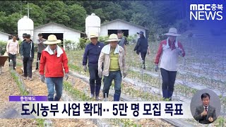 도시농부 사업 확대.. 지원 농가 규모 늘려