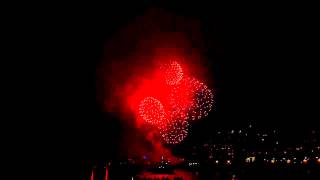 Feuerwerk Hamburger Hafengeburtstag 2014