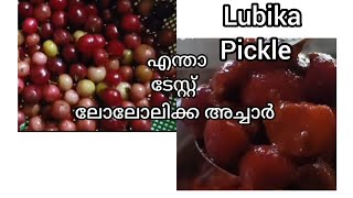 എന്താ ടേസ്റ്റ് ലൂബിക അച്ചാർ ഇത്രയും ടേസ്റ്റിൽ നിങ്ങൾ കഴിച്ചിട്ടുണ്ടോ  / Lubika Special Pickle