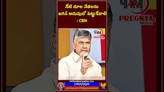 నోటి దూల నేతలను జగన్ అదుపులో పెట్టుకోవాలి | Chandrababu Strong Warning To YSRCP Leaders | Rajini