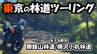 東京のあきる野市にある2本の林道を走りました 2023年10月22日