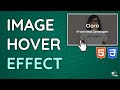 Image Hover Text Overlay Effect with HTML & CSS - Web Design Tutorial
