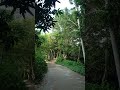 Beautiful Nature Whatsapp Status Green Environment Video New Movie Scene Jungle Status HD #Shorts