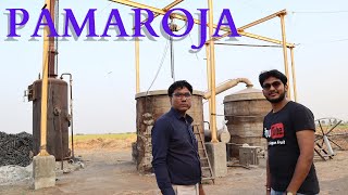 Pamaroja Farming Part 2 in Gujarat | low cost farming | high return on farming