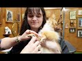 what not to do with a pomeranian