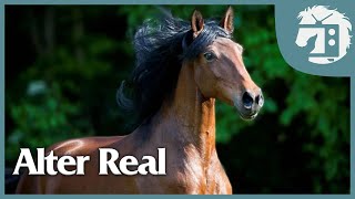 Grandes Yeguadas de Europa 🐎 -  PORTUGAL: Alter Real | #2 | Caballos TV