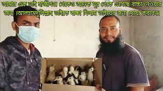 চীনা হাঁসের বাচ্চা দিলাম আলহামদুলিল্লাহ