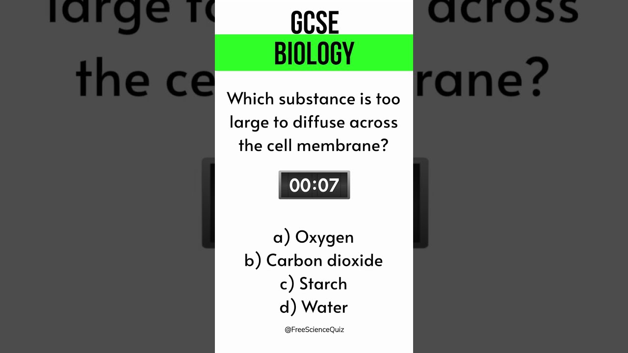 Level Up Your Prep Top Science Olympiad Test Exchange Sites