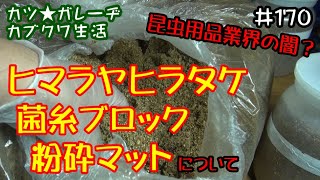 昆虫用品業界の闇なのか？ヒマラヤヒラタケ菌糸ブロック粉砕マットについて考察します！「カツ★ガレーヂカブクワ生活170」