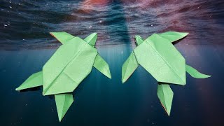 Ultimate Paper Turtle Origami Guide: Error-Free Tips | Simple paper Turtle