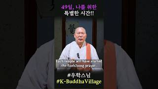 금강경으로 특별한 시간 되세요. #우학스님 #우학쇼츠 #K-Buddha_Village #shorts #한국불교대학 #유튜브불교대학 #백중