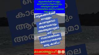 ഒട്ടകങ്ങൾക്ക് വെള്ളം കാണുമ്പോ ആവേശവും അത്ഭുതവുമാണ് സലാലയിലെ മനോഹരമായ ഒരു കാഴ്ച