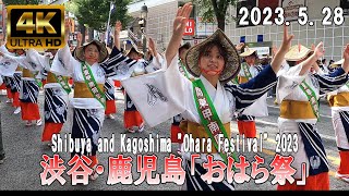 【4K Japan】2023.5.28  渋谷・鹿児島「おはら祭」③『Shibuya and Kagoshima \