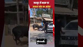 जशपुर में सड़क पर आवारा सांड का आतंक तीन दुकानें भी तोड़ दी |jashpur |viral |viralvideos |