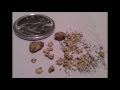 Gold Bay  Paydirt Results 1.12 grams of gold