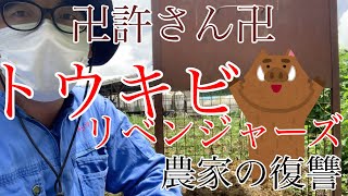 【農家の復讐】まじで許さん！イノシシを罠に嵌めてみた