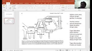 PENJELASAN DIAGRAM ALIRAN ENERGI - Julyan Raihan Prabowo (C2401221073)