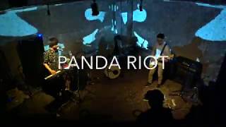 PANDA RIOT - THE ELEPHANT MOAS