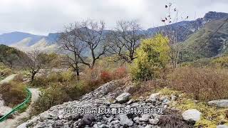 秦岭荒山中的闲置房，周边美若世外桃源，无人居住实在可惜