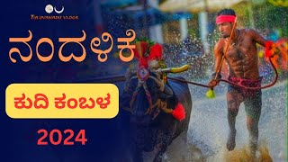 Nandalike Kudi kambala|2024|at miyar|ನಂದಳಿಕೆ ಕಂಬಳ ಕುದಿ|#tuluvanaduvlogs#kambala#viralvideo#tulunadu