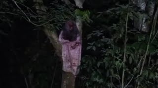 PENAMPAKAN HANTU SUNDEL BOLONG TERJELAS‼️Asli Bikin Bulukuduk Merinding