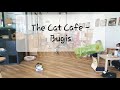 Cuteness overload!!!! 😻 | The Cat Cafe - Bugis, Singapore | August 2020