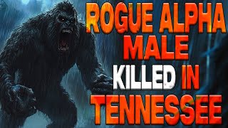 Rogue Sasquatch Killed in Tennessee