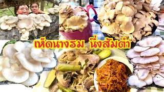 เห็ดนางรมป่า สวีเดน,(นึ่งปลา),ส้มตำ,10 กรกฎาคม ค.ศ. 2022