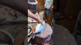 Amazing Datina Koral Fish Cutting Skills In Bangladesh Fish Market By Expert Cutter #shorts