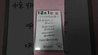 サイコロ馬券士信長のオススメ馬紹介します「12月1日日曜日中京競馬場」