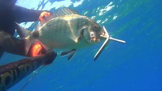 PESCA SUB - PESCE BIANCO NELLO STRETTO 2020 ( SPEARFISHING MAGGIO )