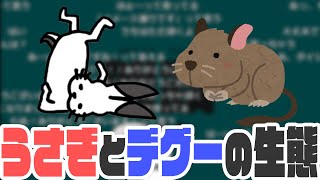 うさぎとデグーの「面白い生態」で盛り上がる回【ドコムス雑談切り抜き】