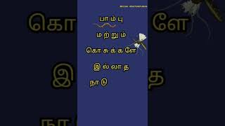 பாம்பு மற்றும் கொசுக்களே இல்லாத நாடு எது?#viral #பொதுஅறிவுவினாக்கள்