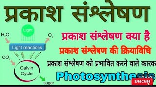 21#plant #पादप कार्यकी #पादप में प्रकाशसंश्लेषण#plant physiology#प्रकाश संश्लेषण#photosynthetic