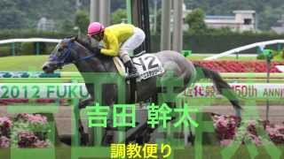 競馬ブック　吉田幹太　ＴＭの推奨馬（2013年2月2日）