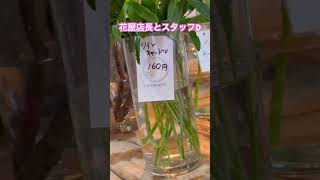 お花紹介#shorts #花#観葉植物#花屋