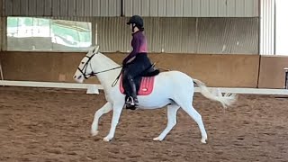 USEA Starter Dressage Test Curragh October 2022