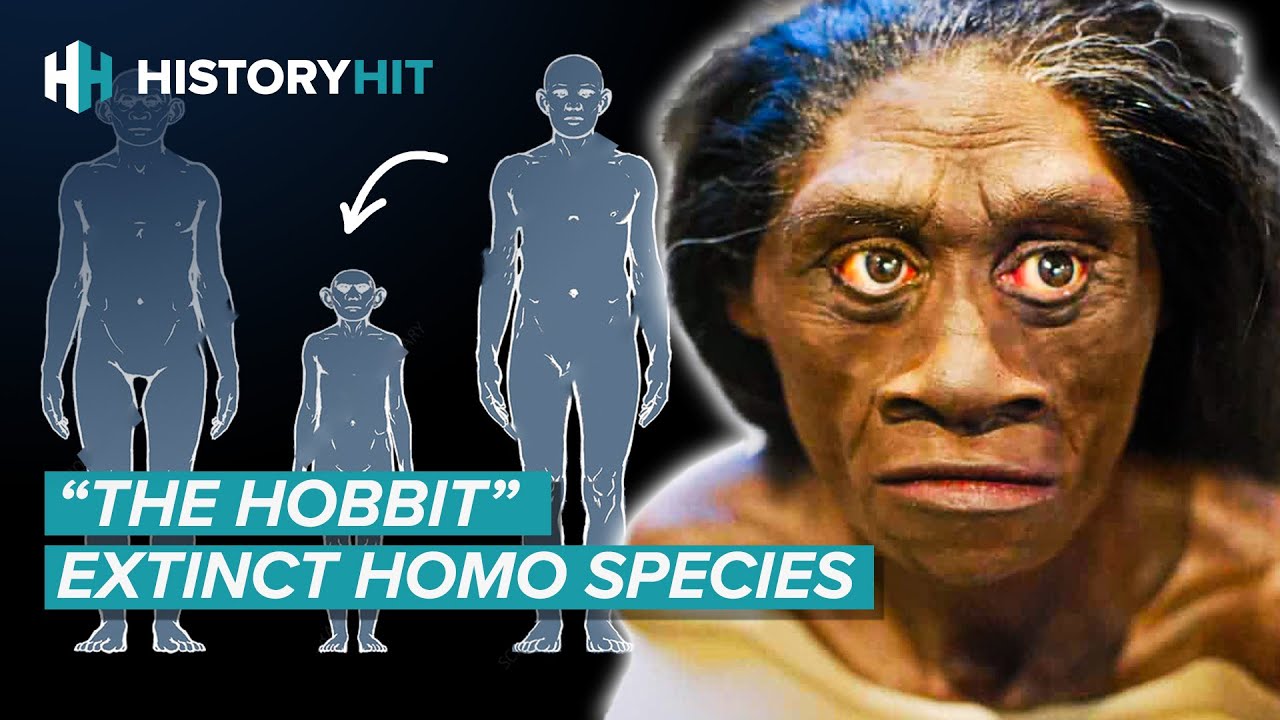 Early Human Species