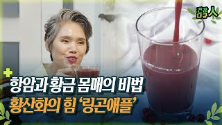 [건강다큐 人] 항암과 황금 몸매의 비법 황산화의 힘 ‘링곤애플’