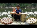 Single Mom Harvest Duck Eggs Goes to the market sell & Gardening - Live with nature